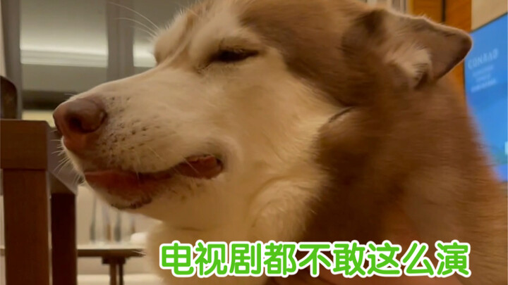 วันนี้เหมือนจะทำอะไรไปหลายอย่าง แต่ก็เหมือนจะไม่ได้ทำอะไรเลย...