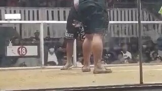 j5g borloloy in pila