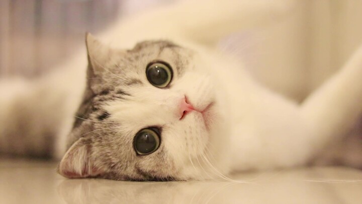 Still feeling troubled? Click to get a boost of good mood!