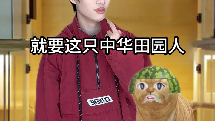 بمجرد أن يقرر القط تربية الإنسان، عليه أن يتحمل المسؤولية.