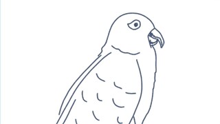 Gambar Burung