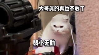 真的太猛了哈哈哈哈哈铁锤被追得到处乱串！看你们还敢跟我斗！