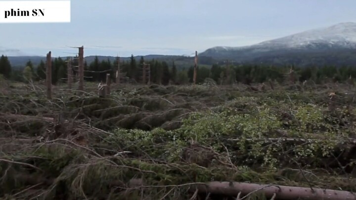 Tóm tắt đùa thợ săn3 #phimsn