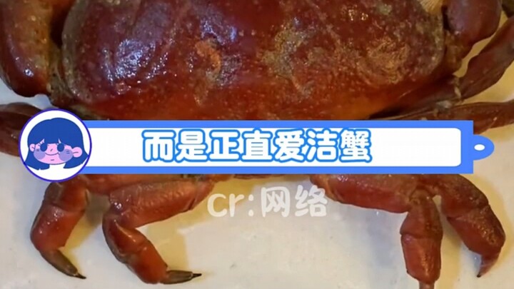 Orang baik akan mendapat balasan baik—saat menikmati hidangan laut, pastikan kamu bisa membedakan “k