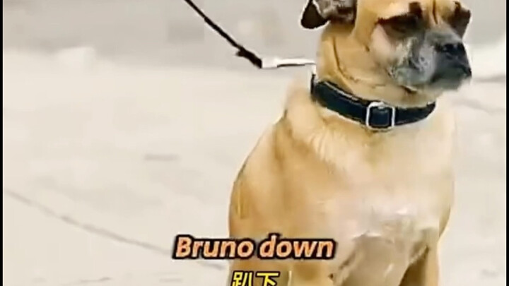 So sánh từ các sen… Hahaha!