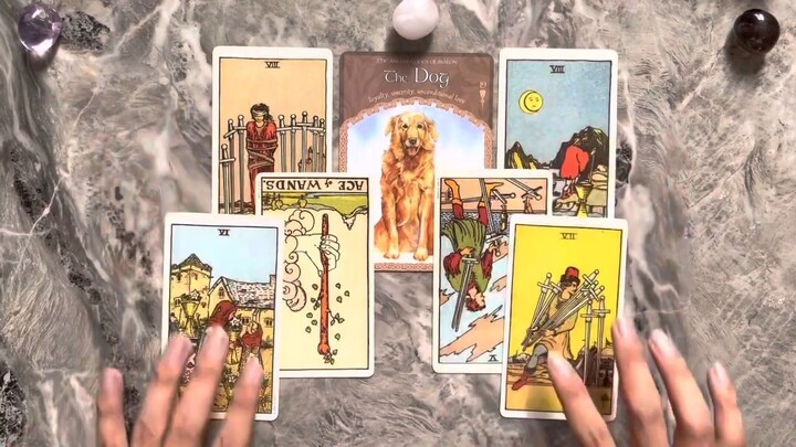 Bói Tarot Tài Chính & Tình Cảm tháng 11