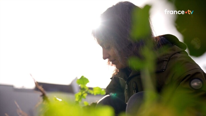 Mon jardin est-il pollué ?