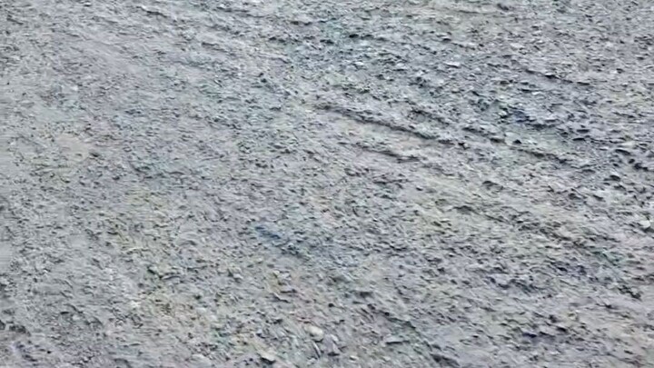 roz marra ki zindagi