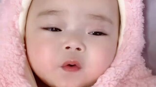 Thức dậy! Thấy một ngôi sao Patrick đang tìm kiếm thức ăn!