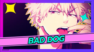 [มายฮีโร่ อคาเดเมีย] Bad Dog