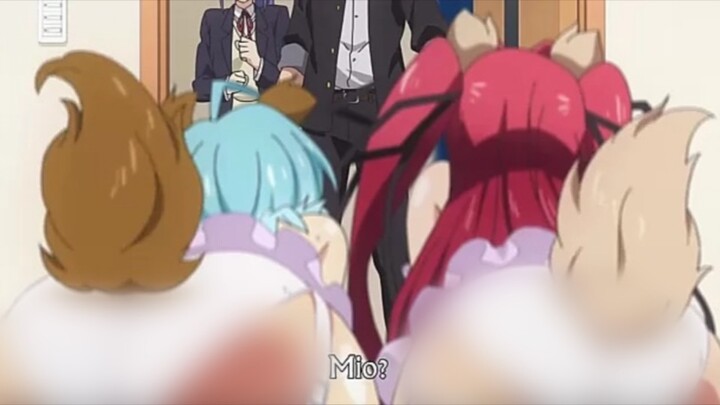 Anime 18+ harem