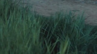 ถูกมองว่าเป็นตัวถ่วงเลยโดนทิ้ง ไม่รู้เลยว่าเจ้าตัวเล็กคืออัจฉริยะวิชายุทธ์[พากย์ไทย]