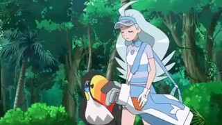 Pokemon sun and moon episode 110 in english