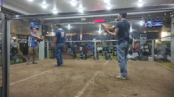 bulik vs alimbuyugin. mataas Malaki kalaban buti naitabla pa ni bulik namin.