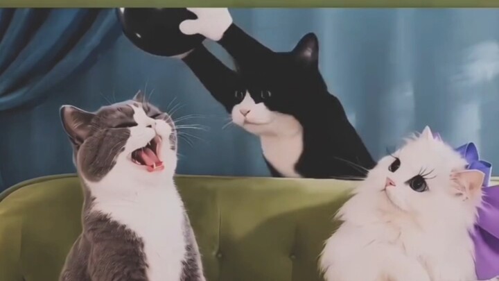 Tom và Jerry phiên bản người thật