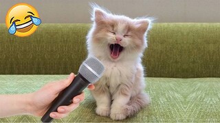 Funniest Cats Talking Videos😹 - Funniest Cats And Dogs 2023 |Aww Pets