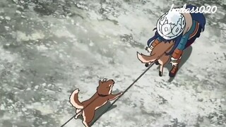 cute animation video