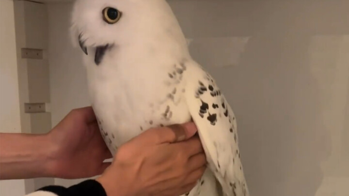 Why are you touching me casually?