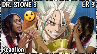 THIS PLOT TWIST !! 😲 HYPE! | DR. STONE 3 Episode 3 Reaction | Lalafluffbunny