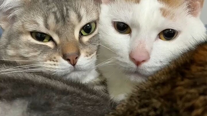 ขำตายเลย สายตาของคนโสดมันช่างใสซื่อจริงๆ