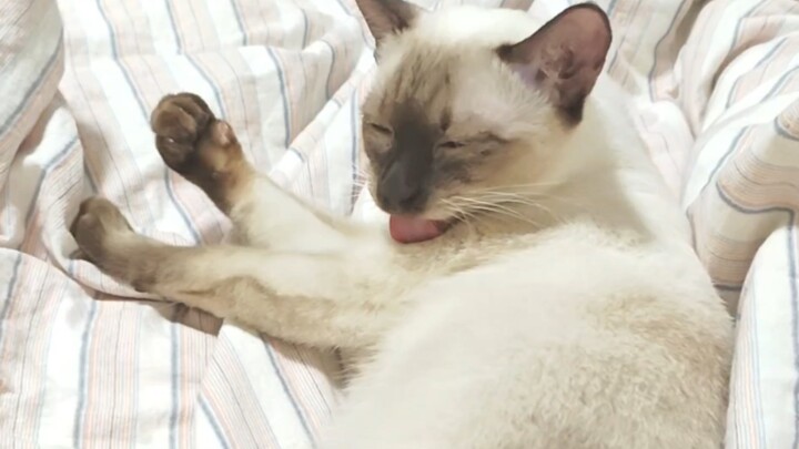 Đại ca, điều hòa lạnh quá nên bị đen rồi meo