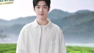 【Xiao Zhan】230330 Liuliumei Green Tea Green Plum Promotional Video