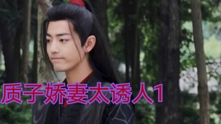 【剧版忘羡ABO】湛王的质子小娇妻1