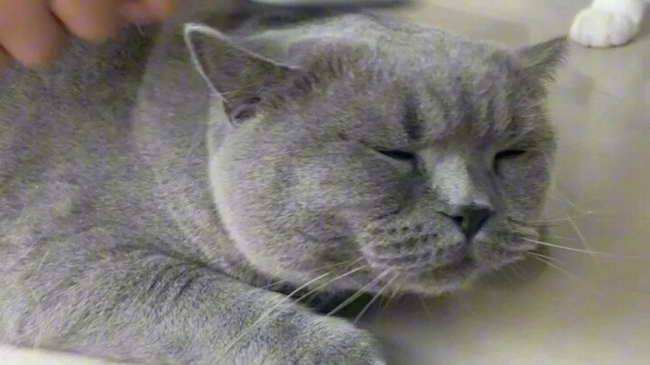Believe it or not, I’m so cold right now that I can even spit out fur…