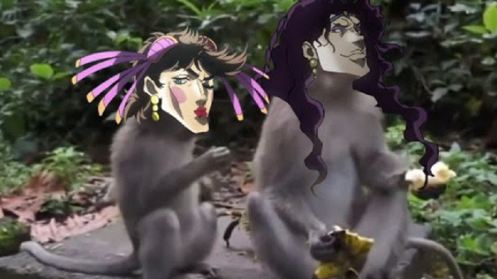 Jojo's monkey adventure pt1