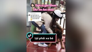 sponsored Trả lời   Đến lúc lại phải đi rồi 🥺 trend#viral#betom#cute#thucung#chocanh#dangyeu#beggie#fyp