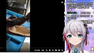 日本天然小姐姐看《第一次听鳄鱼叫诶》