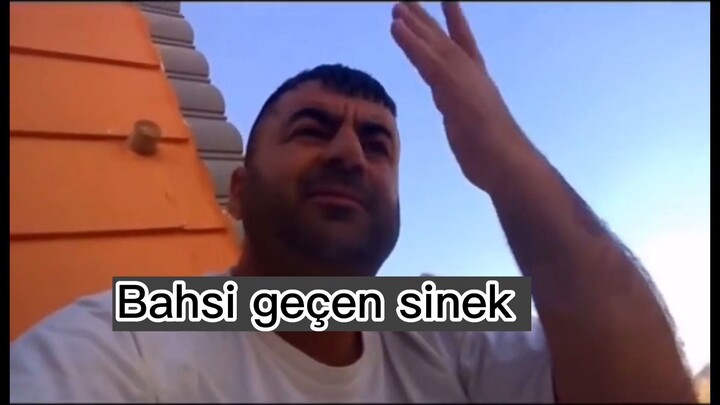 Bilge adam reis sineğe sövüyor