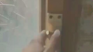 猫咪召唤术