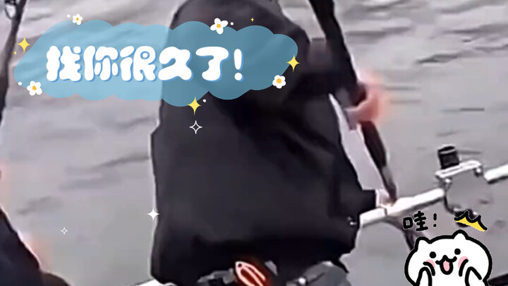 Sudah lama sekali mencarimu!