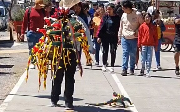 Người buôn thằn lằn tuồn bán những chú thằn lằn nhỏ của mình