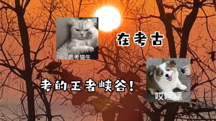 "What Are Today's Young People Doing?"