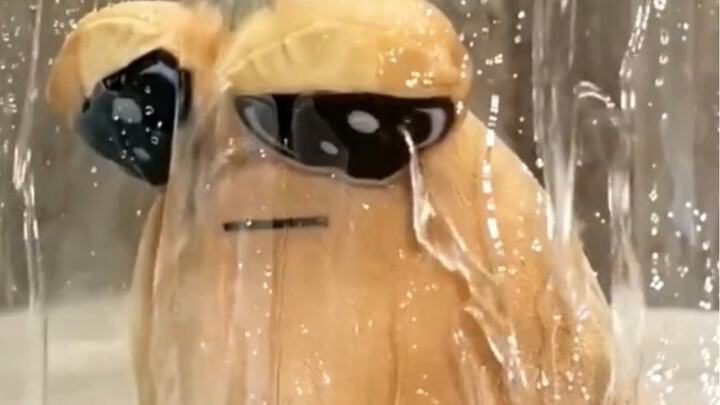 Đừng để người không trả lời tin nhắn thấy bạn đang lén khóc nhé!