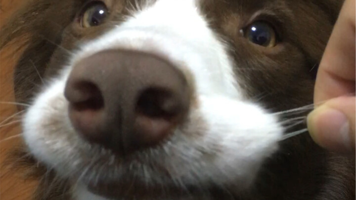 Pouting, whining, and cooing—your girlfriend’s online!