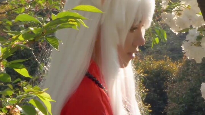 Whose cosplay year-end summary is six movies!