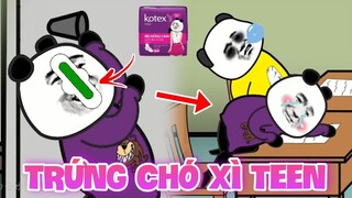 GẤU HÀI HƯỚC: Trứng Chó Xì Tin | Tập 56 | Phim hoạt hình gấu trúc mặt bựa siêu buồn cười