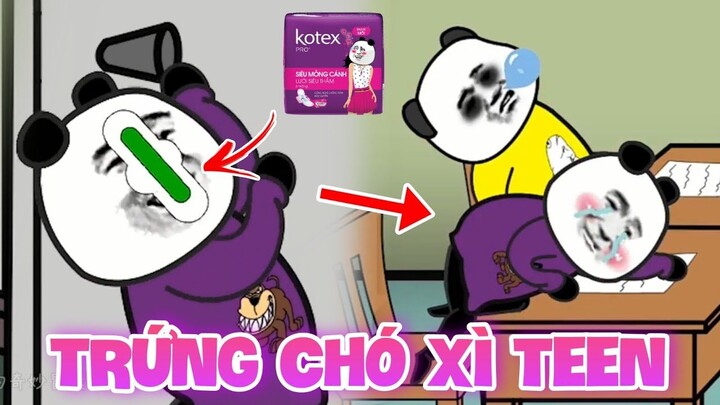 GẤU HÀI HƯỚC: Trứng Chó Xì Tin | Tập 56 | Phim hoạt hình gấu trúc mặt bựa siêu buồn cười