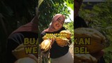#shortsyoutube #shortvideo #buahbuahan #explorepage #coklat