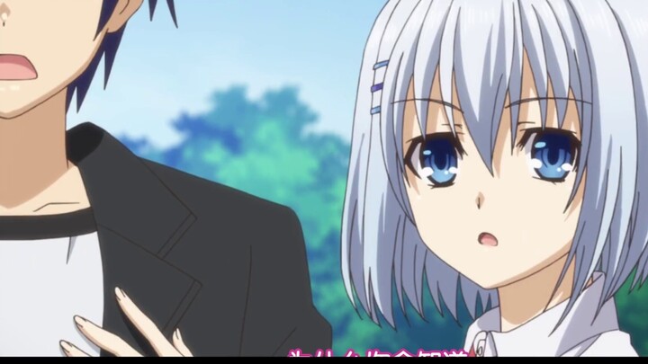 Harem anime? Girls can only choose one! Those endings...