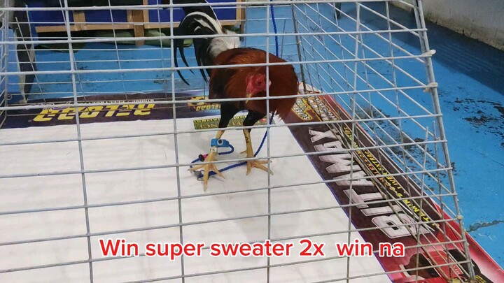Super Sweater Win 2x na