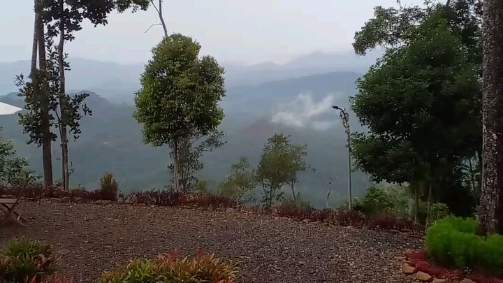 Tahura Mandiangin Kalsel Indonesia