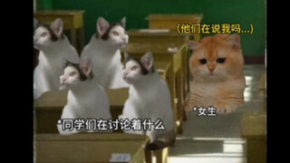 你行你的善，时间会证明
