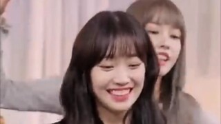 〔Stray Kids〕双厨狂喜！STAYC妹妹们跳迷路的back door啦！！