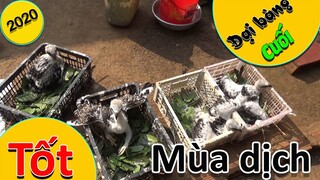 [Hùng Hunter]-  Đại bàng của anh em vẫn khỏe.