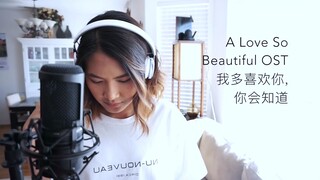 I love you So Much, you 'll Know it A love so beautiful Ost-wang Junqi [English cover]