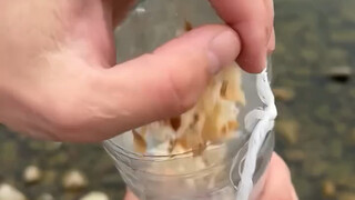 Wilderness survival skills